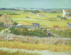 Kunstdruck “The Reaping at La Crau” Vincent van Gogh