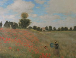 Kunstdruck "Mohnblumen" von Claude Monet