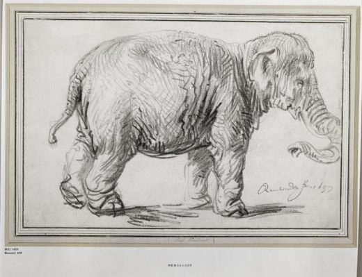 Rembrandt “Un-Eléphant“  230 x 340 cm 1