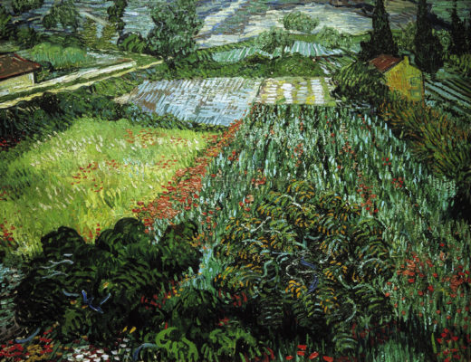 Vincent van Gogh “Mohnfeld” (Feld mit Mohnblumen), 71 x 91 cm 1