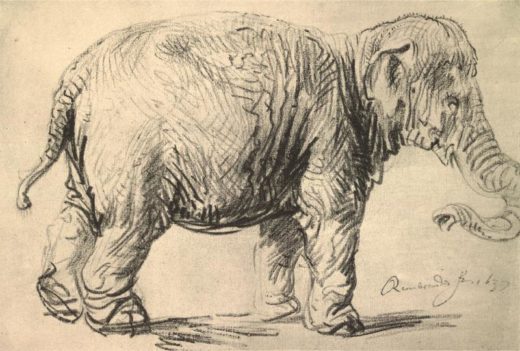 Rembrandt “Elephant“  230 x 340 cm 1