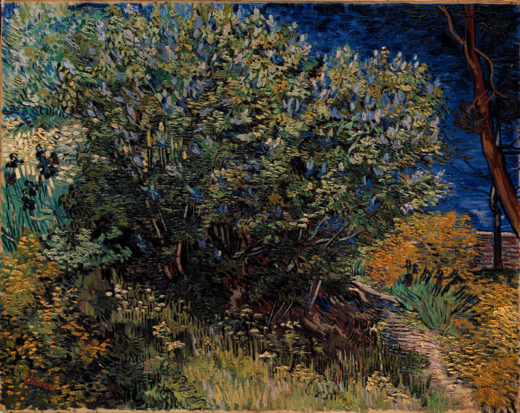 Vincent van Gogh “Fliederstrauch” 73 x 92 cm 1