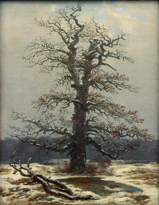 Caspar David Friedrich „Eiche im Schnee“  34 x 44 cm 1