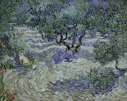 Vincent van Gogh “Olivenhain” 73 x 93 cm 1