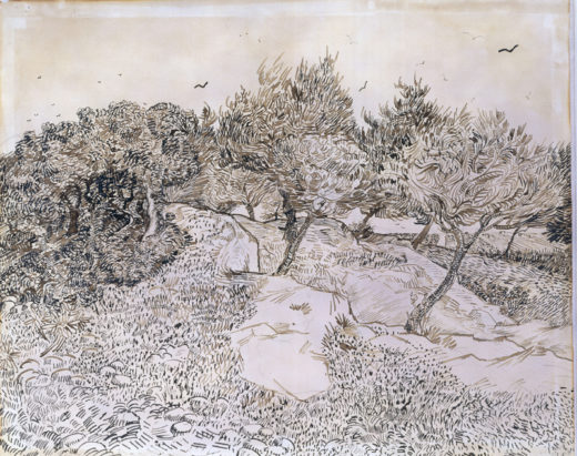 Vincent van Gogh “Oliviers à Montmajour” (Olivenhain bei Montmajour) 48 x 60 cm 1