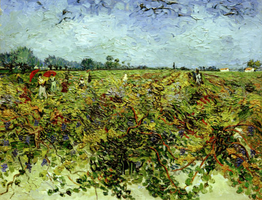 Vincent van Gogh “Der gruene Weingarten” 72 x 92 cm 1