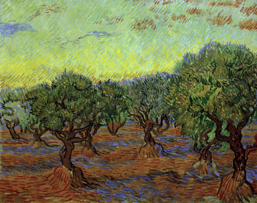 Vincent van Gogh “Olivenhain” 74 x 93 cm 1
