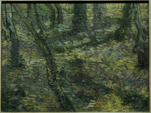Vincent van Gogh “Unterholz mit Efeu” 47 x 64 cm 1