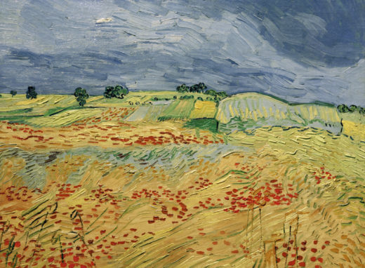 Vincent van Gogh “Felder 50 x 65 cm 1