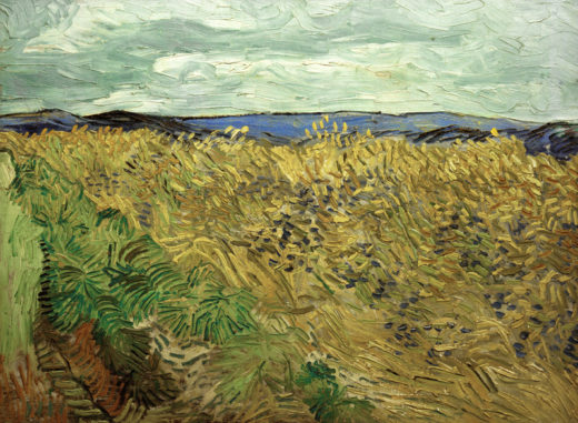Vincent van Gogh “Feld 60 x 81 cm 1