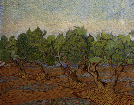 Vincent van Gogh “Olivenhain” 73 x 92 cm 1