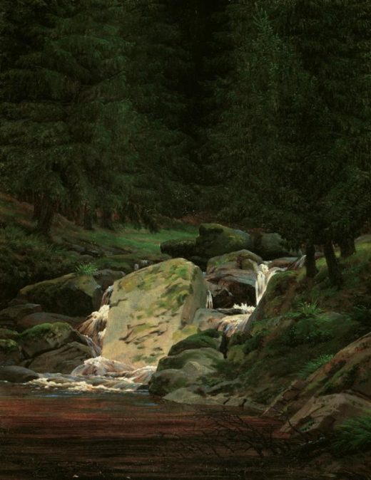 Caspar David Friedrich „Tannenwald mit Wasserfall“  35 x 44 cm 1