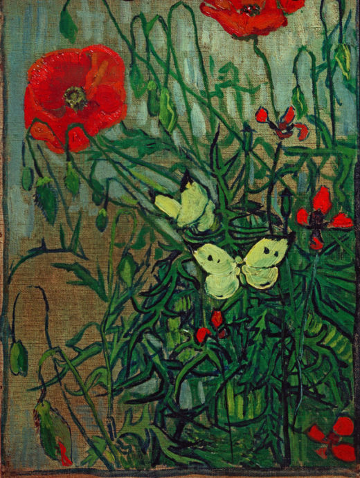 Vincent van Gogh “Schmetterlinge auf Mohnblueten” 33,5 x 24,5 cm 1