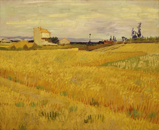 Vincent van Gogh “Weizenfeld” 50 x 61 cm 1