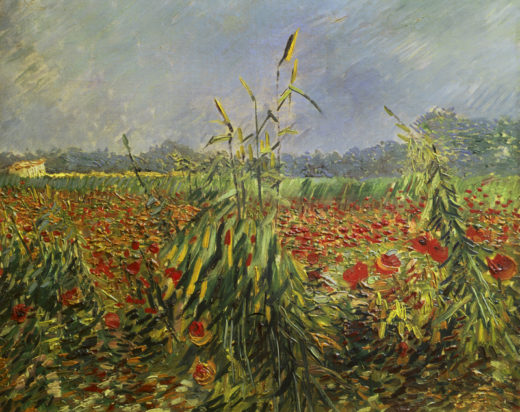 Vincent van Gogh “Gruene Kornhalme” 54 x 65 cm 1