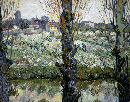 Vincent van Gogh “Blick auf Arles” 72 x 92 cm 1