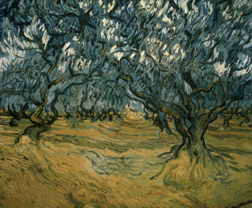 Vincent van Gogh “Olivenbaeume”, 53,5 x 64,5 cm 1