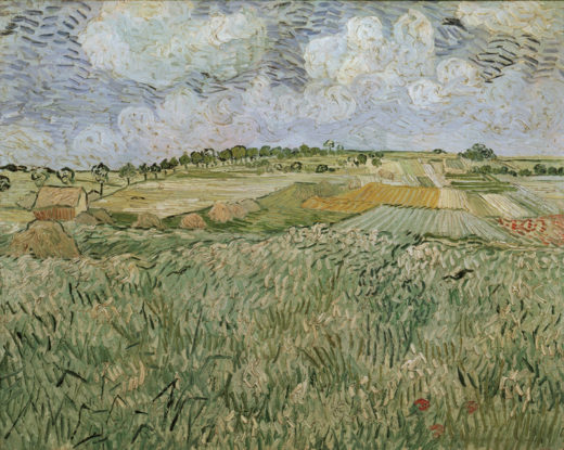 Vincent van Gogh “Die Ebene bei Auvers mit Regenwolken”, 73,5 x 92 cm 1