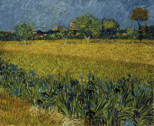 Vincent van Gogh “Blick auf Arles mit Irisblueten im Vordergrund” 54 x 65 cm 1