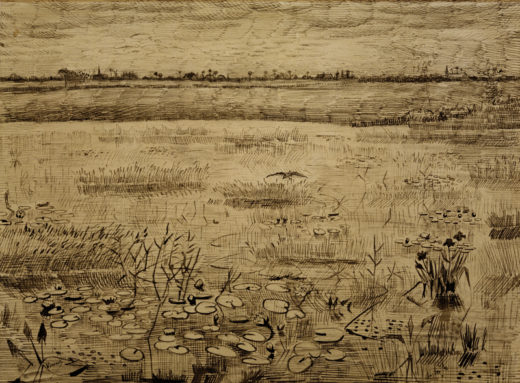 Vincent van Gogh “Sumpflandschaft mit Wasserlilien”, 23,5 x 31,4 cm 1