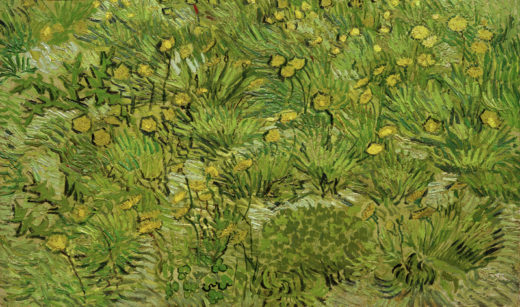 Vincent van Gogh “Les pissenlits” (Loewenzahn) 35,5 x 57 cm 1