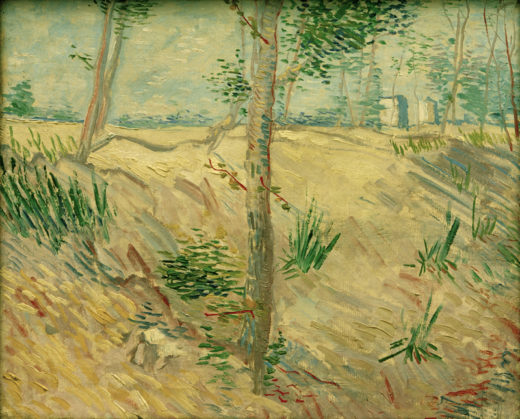 Vincent van Gogh “Baumstaemme im Sonnenlicht”, 37,5 x 46 cm 1
