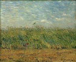 Vincent van Gogh “Getreidefeld mit Mohnblumen und Rebhuhn” 54 x 65,5 cm