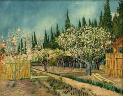 Vincent van Gogh “Bluehender Obstgarten 64,9 x 81,2 cm
