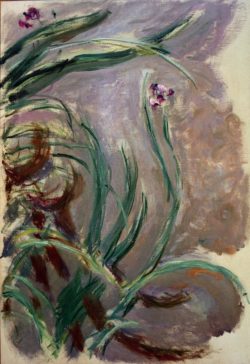 Claude Monet "Iris -Schwertlilien" 73 x 105 cm