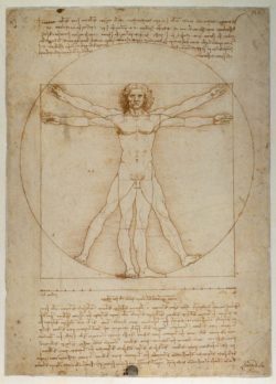 Leonardo da Vinci "Proportionsschema " 25 x 34 cm