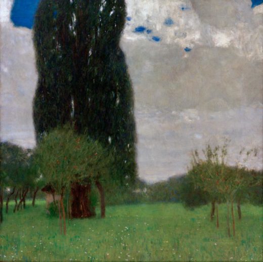 Gustav Klimt „Die große Pappel I“ 80 x 80 cm 1